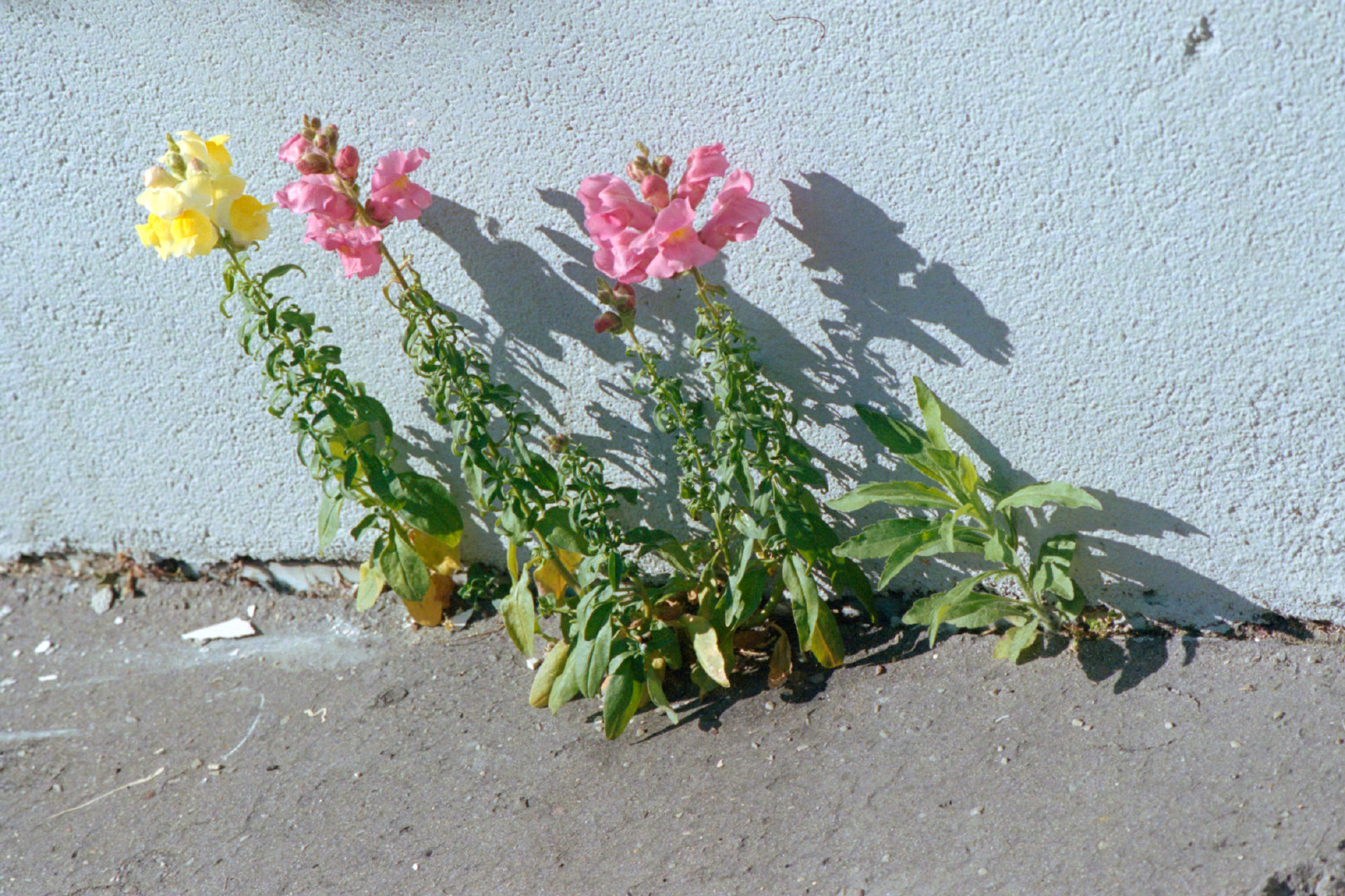 Summer Vibes , Photography by Juliette Abitbol