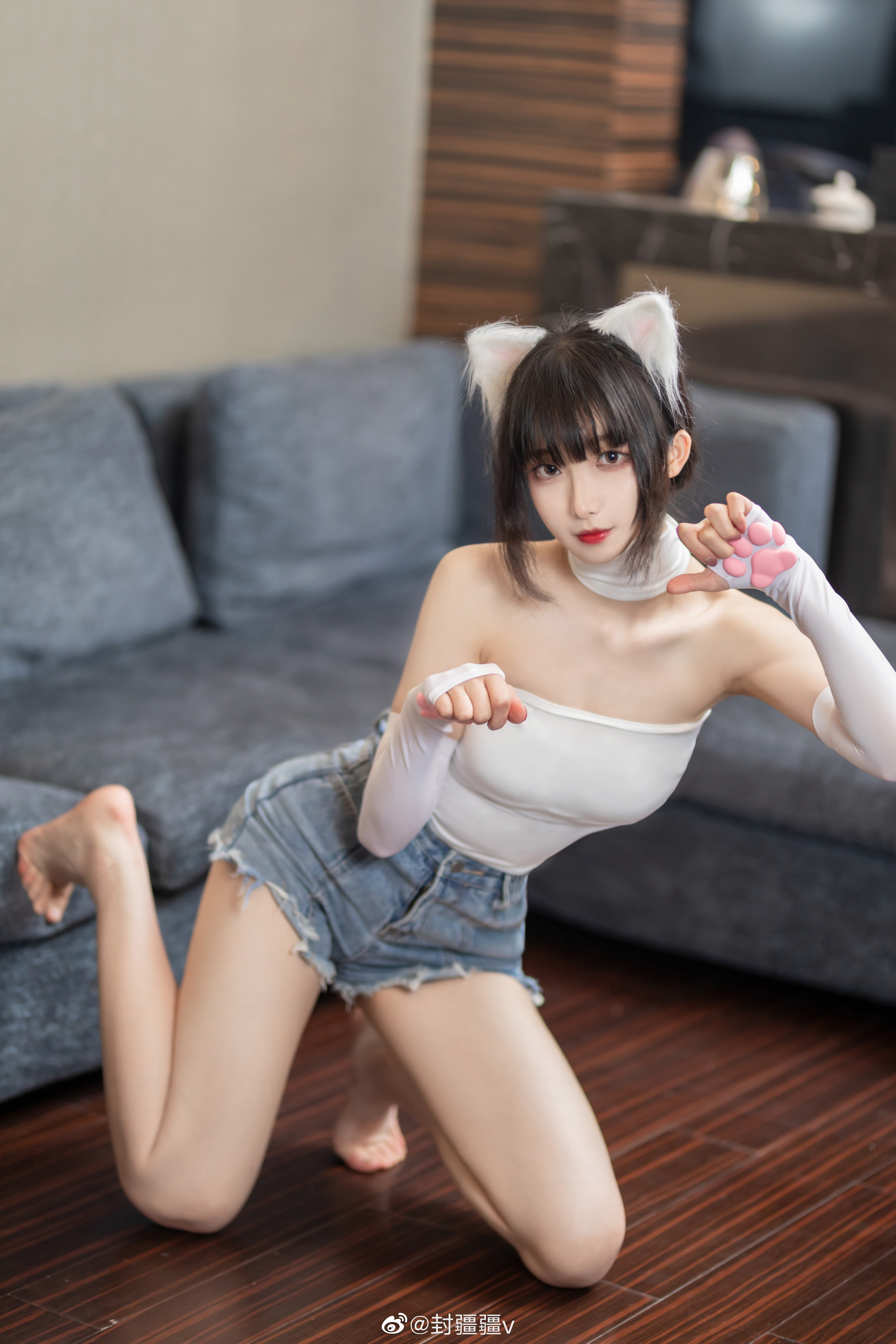 封疆疆V 怀中猫主题COS作品精选美图欣赏
