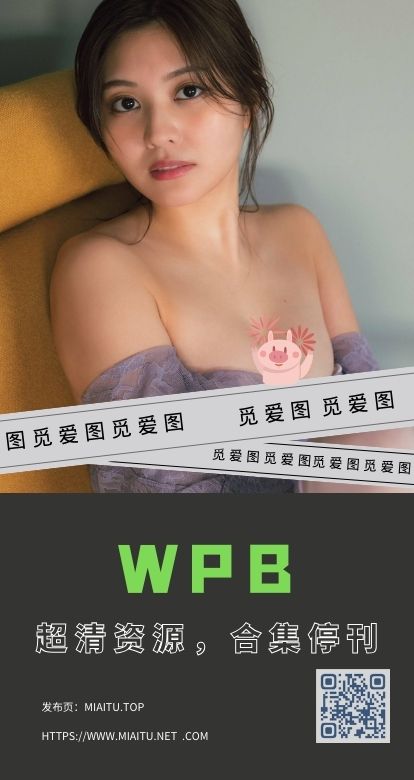 资源名称：[超清写真]WPB套图 503套作品合集打包[20247P/4.4GB]